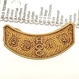 HARLEY Davidson HOG 2014 Pin